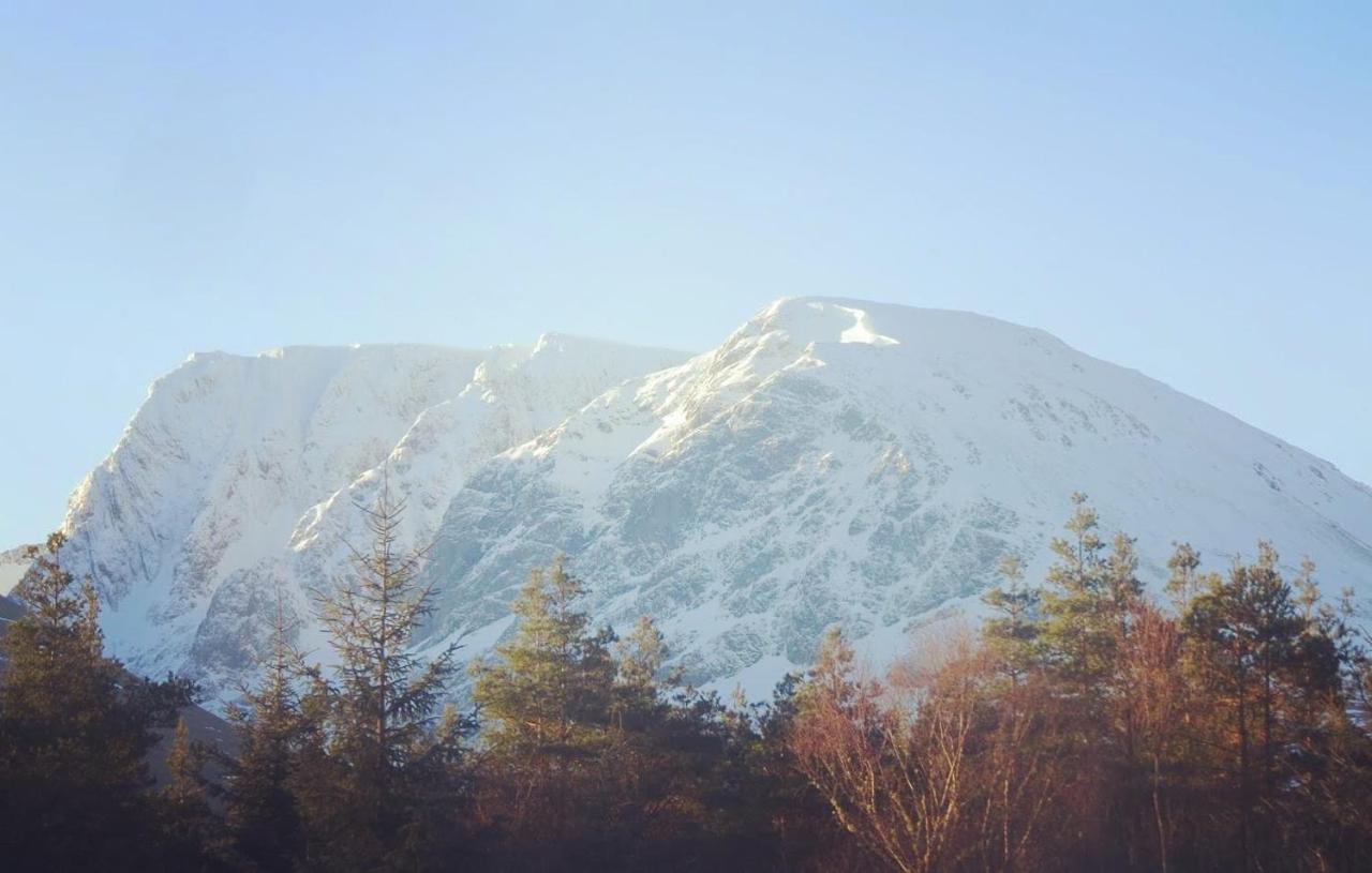 Wild Nurture Eco Luxury Offgrid Log Cabin Fort William Buitenkant foto