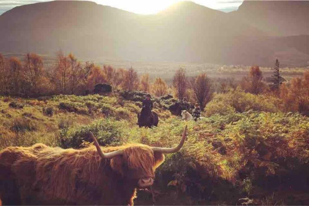 Wild Nurture Eco Luxury Offgrid Log Cabin Fort William Buitenkant foto