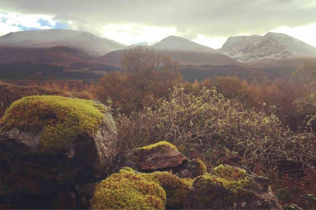 Wild Nurture Eco Luxury Offgrid Log Cabin Fort William Buitenkant foto